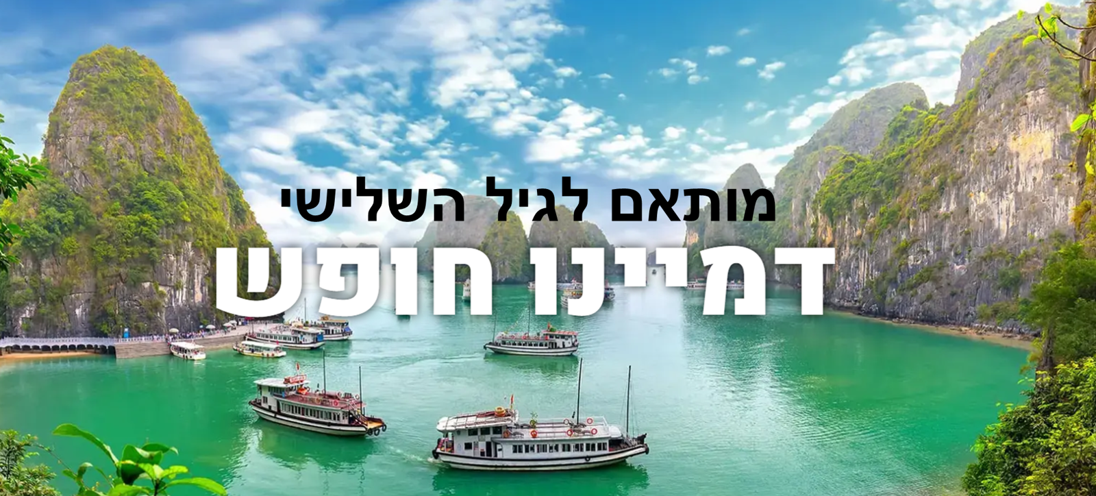 סולו דרים (Solo Dreams)