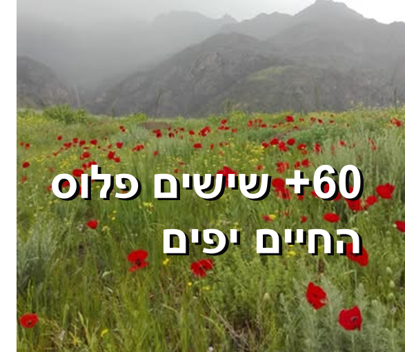 60+ ששים פלוס החיים יפים