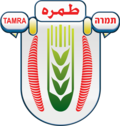 עיריית טמרה