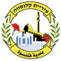 עיריית קלנסווה